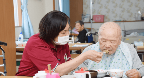 日替わりの食事メニュー